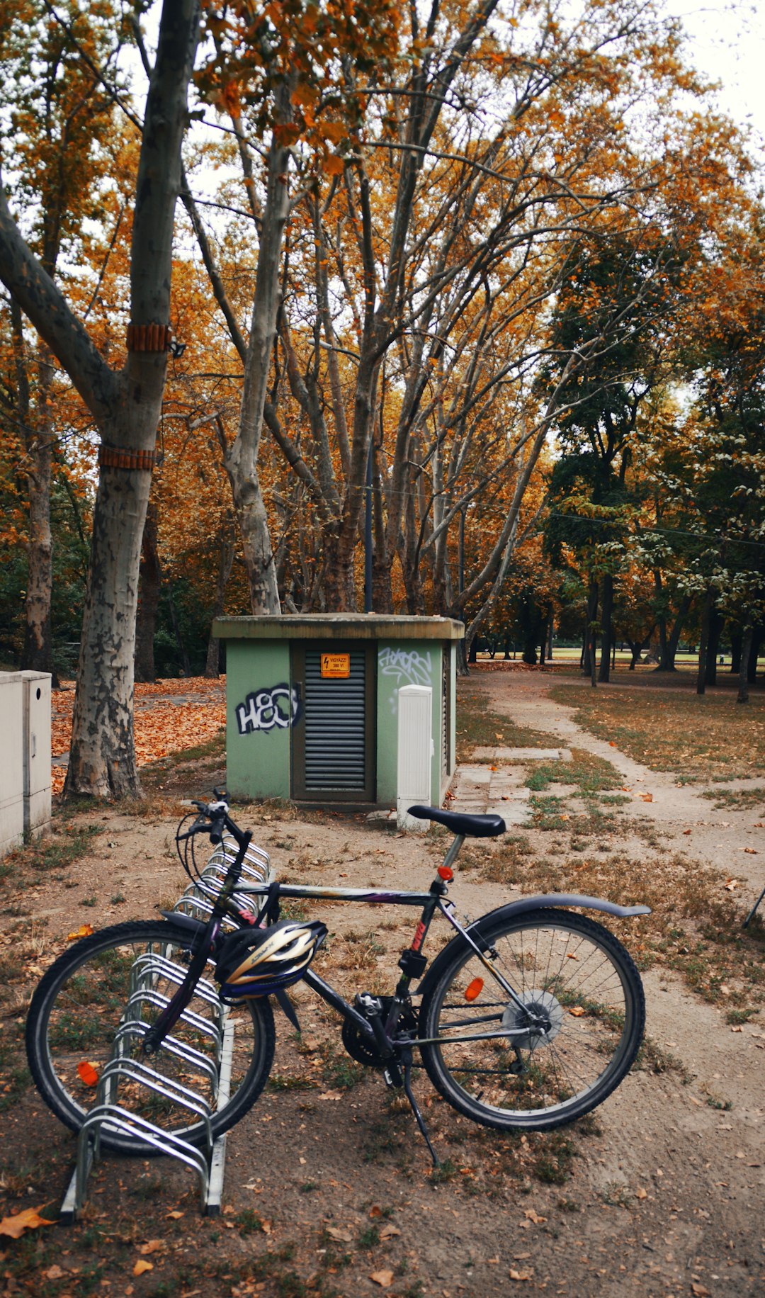 black commuter bike parked beside brown tree during daytime