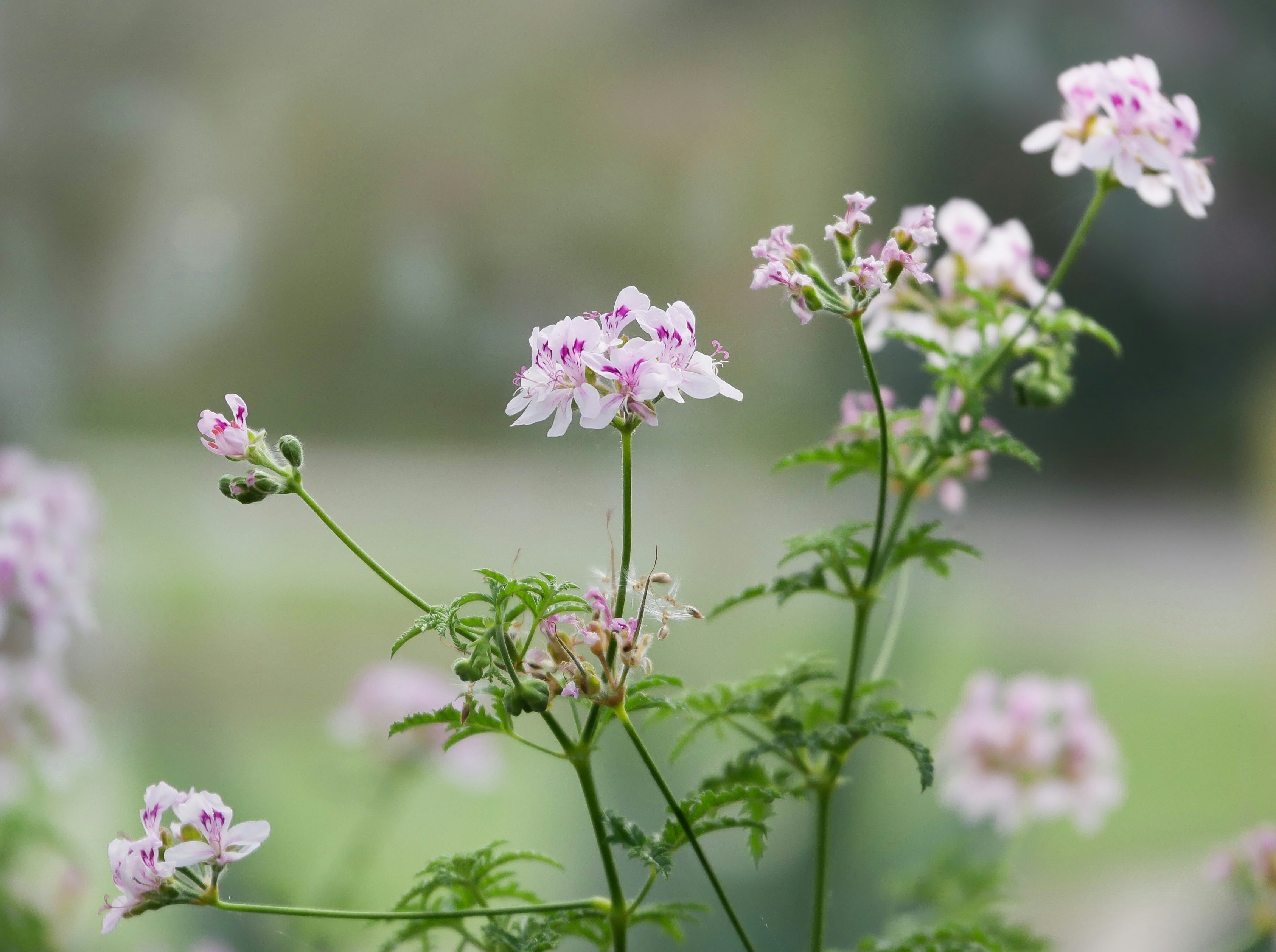 Photo by jameseggleton