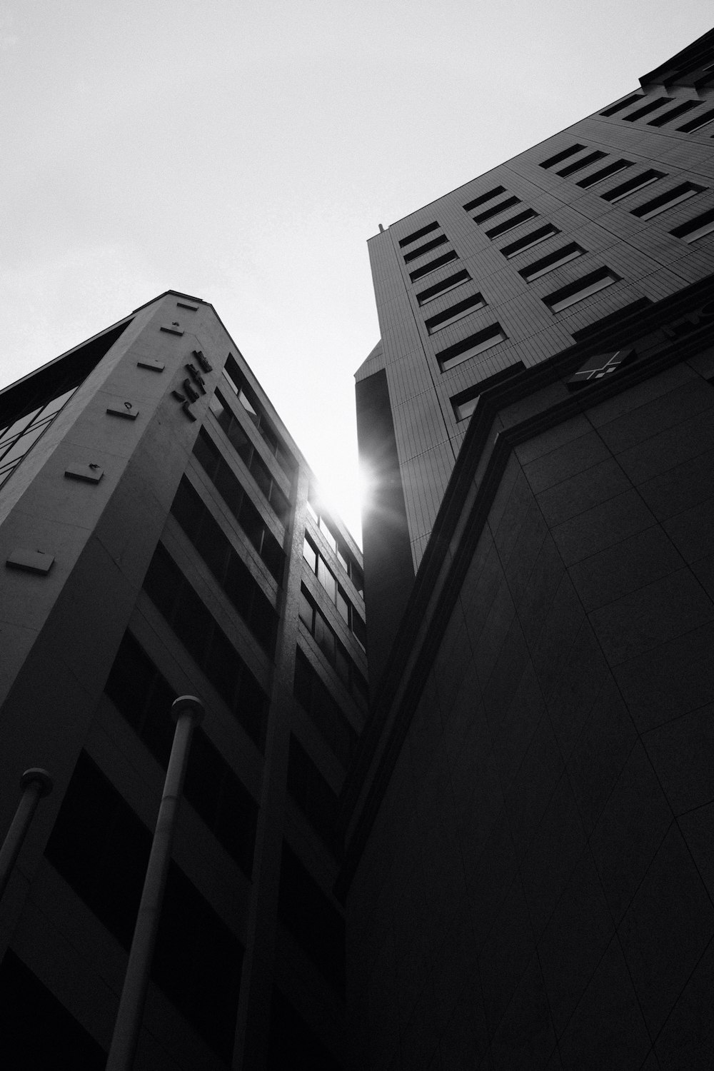 grayscale photo of high rise building