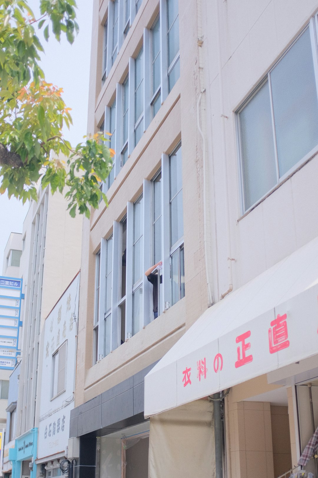 white concrete building with green tree in front