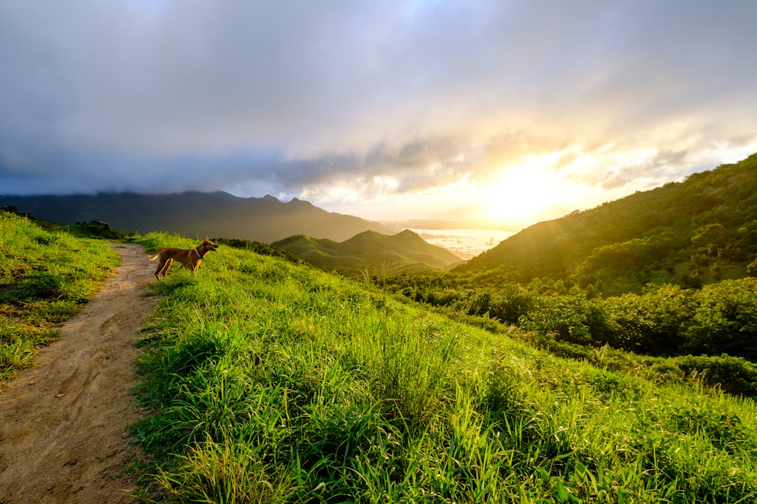 travelers stories about Hill in Discovery Bay, Hong Kong