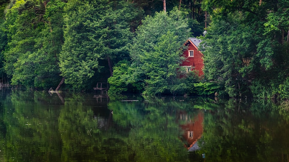 red and brown house beside green trees beside lake during daytime