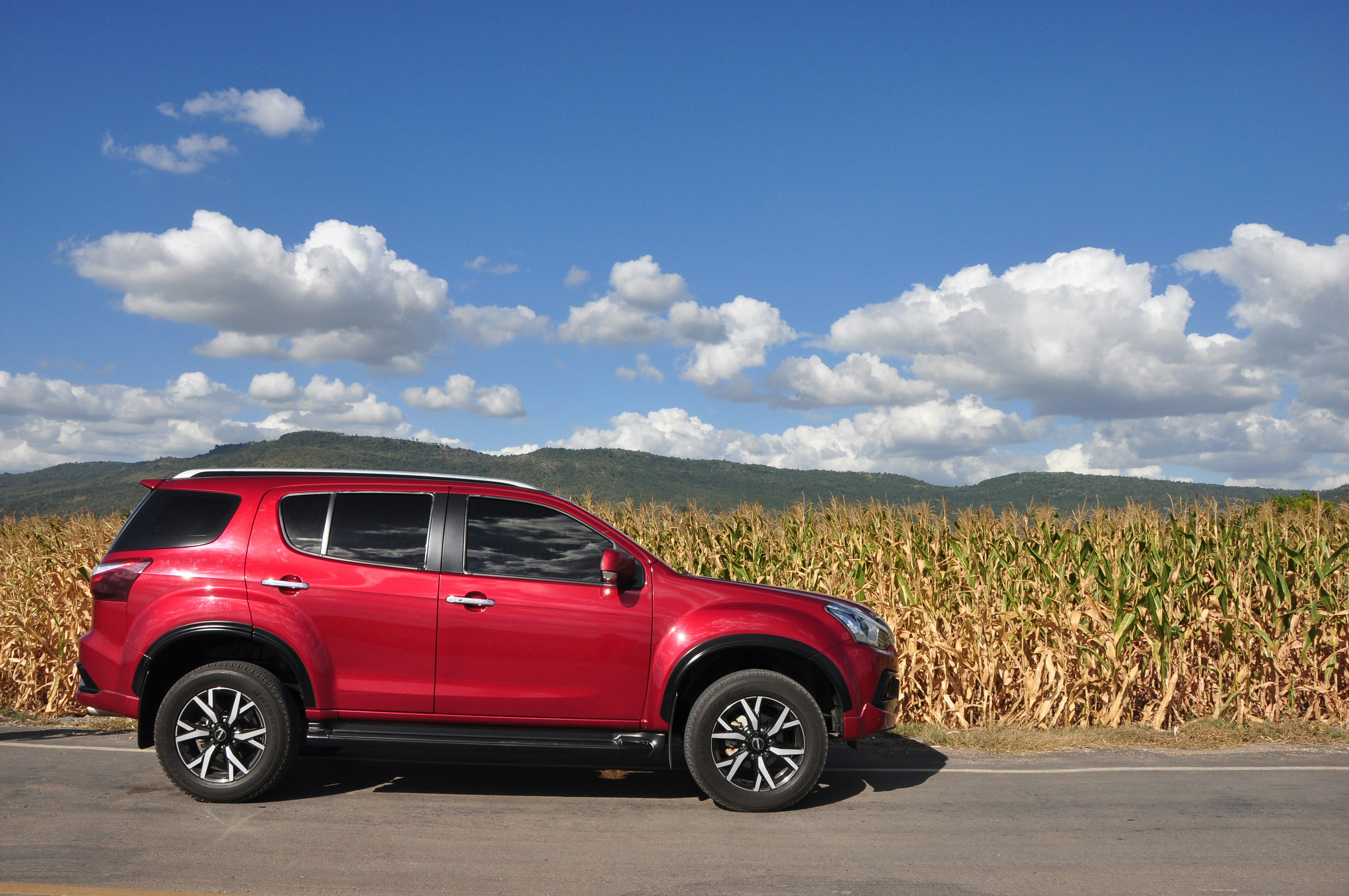 Photo by idonothingbutlove