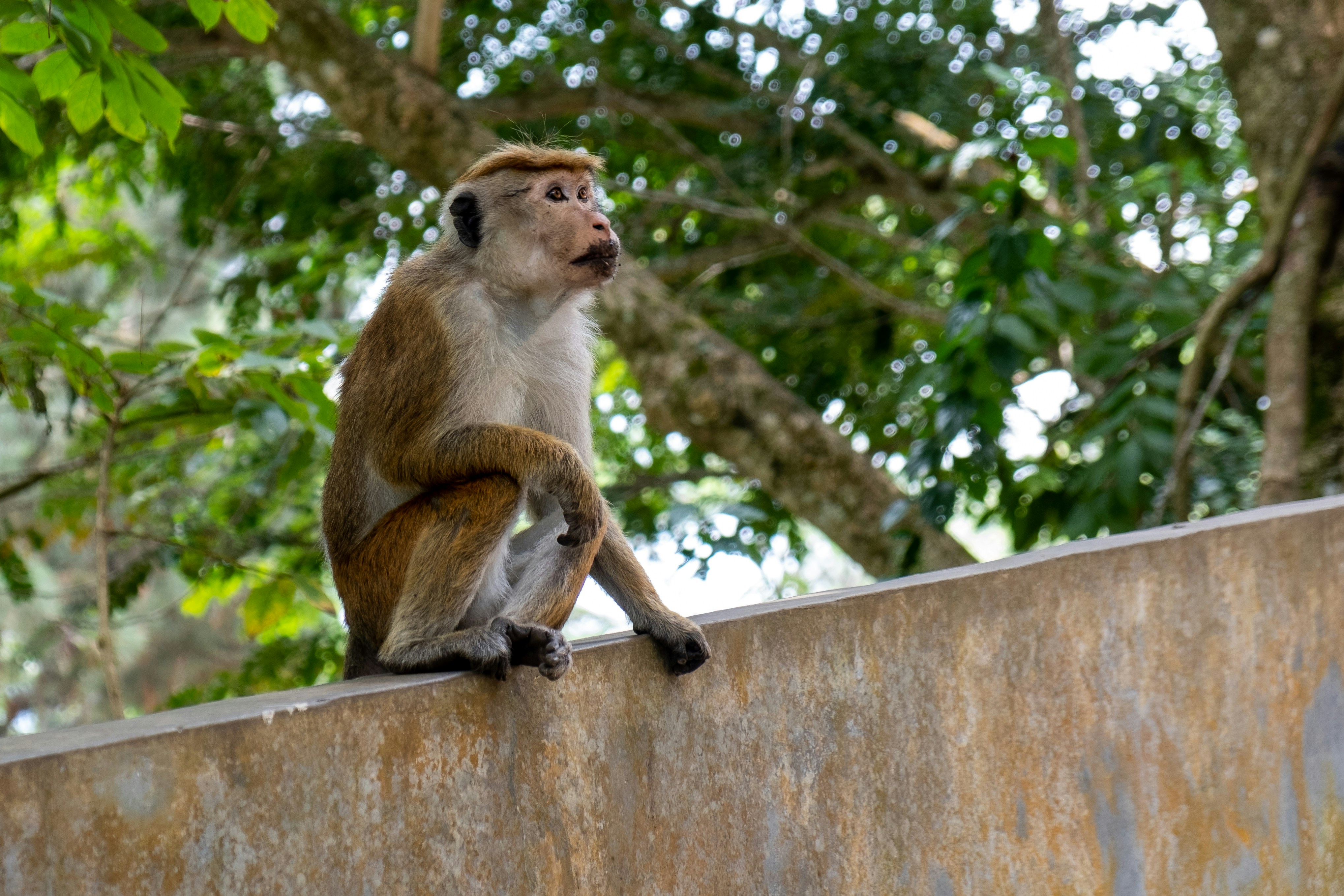 Photo by silverringvee