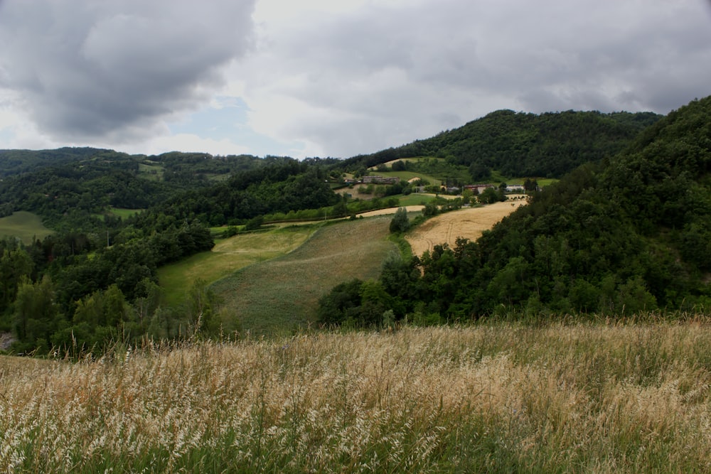 green grass field under cloudy sky during daytime