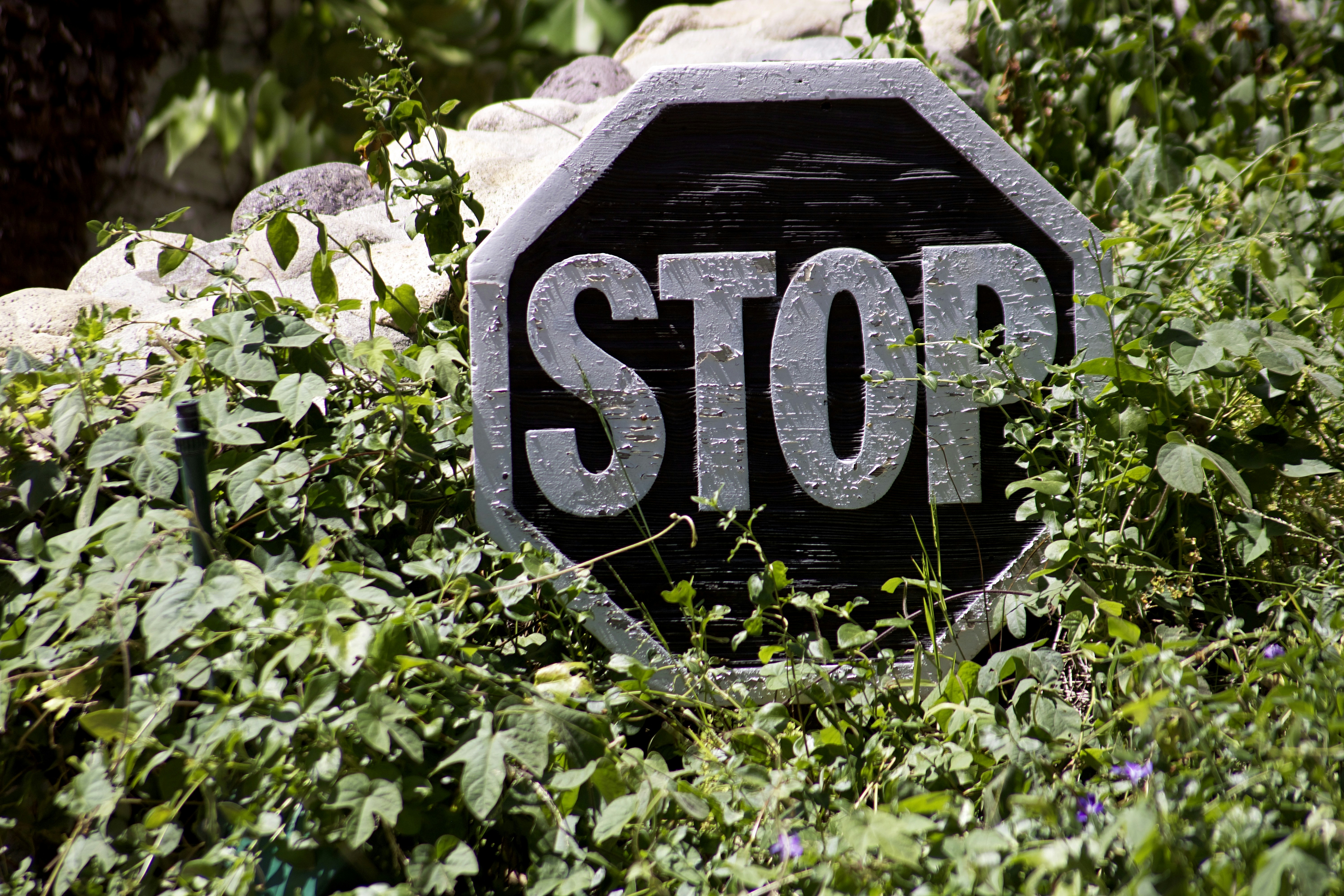 Photo by picsbyjameslee