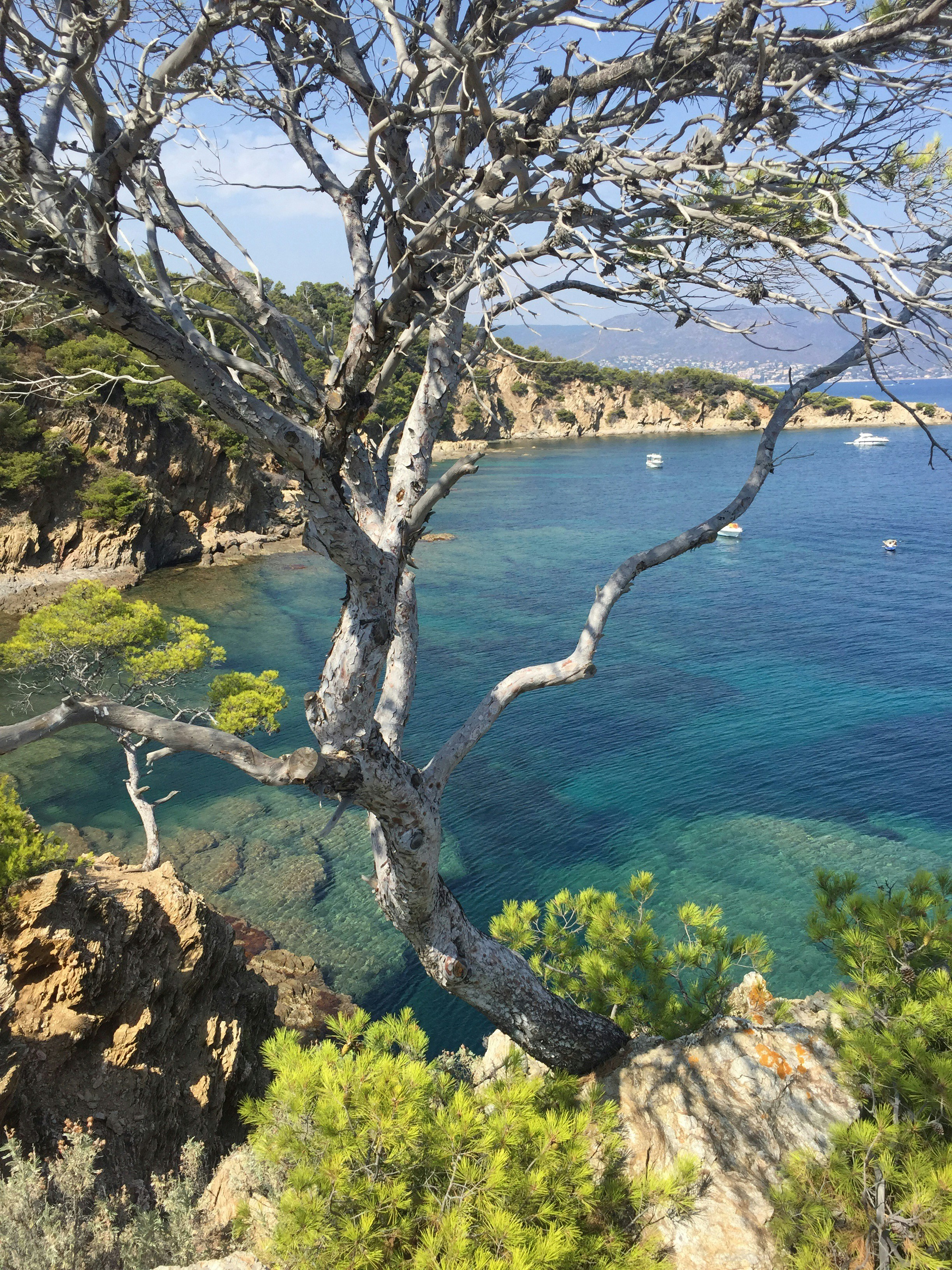 Que faire à Bormes-les-Mimosas ? Les 12 meilleures activités