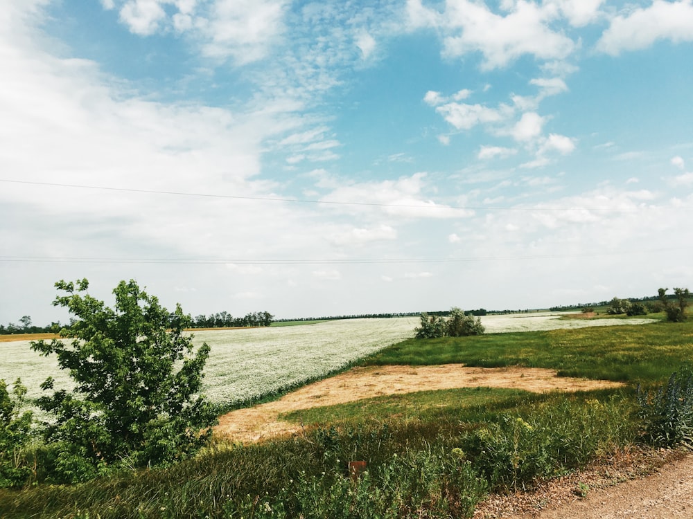 green grass field near body of water under blue sky during daytime