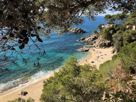 Cala Belladona things to do in Lloret de Mar