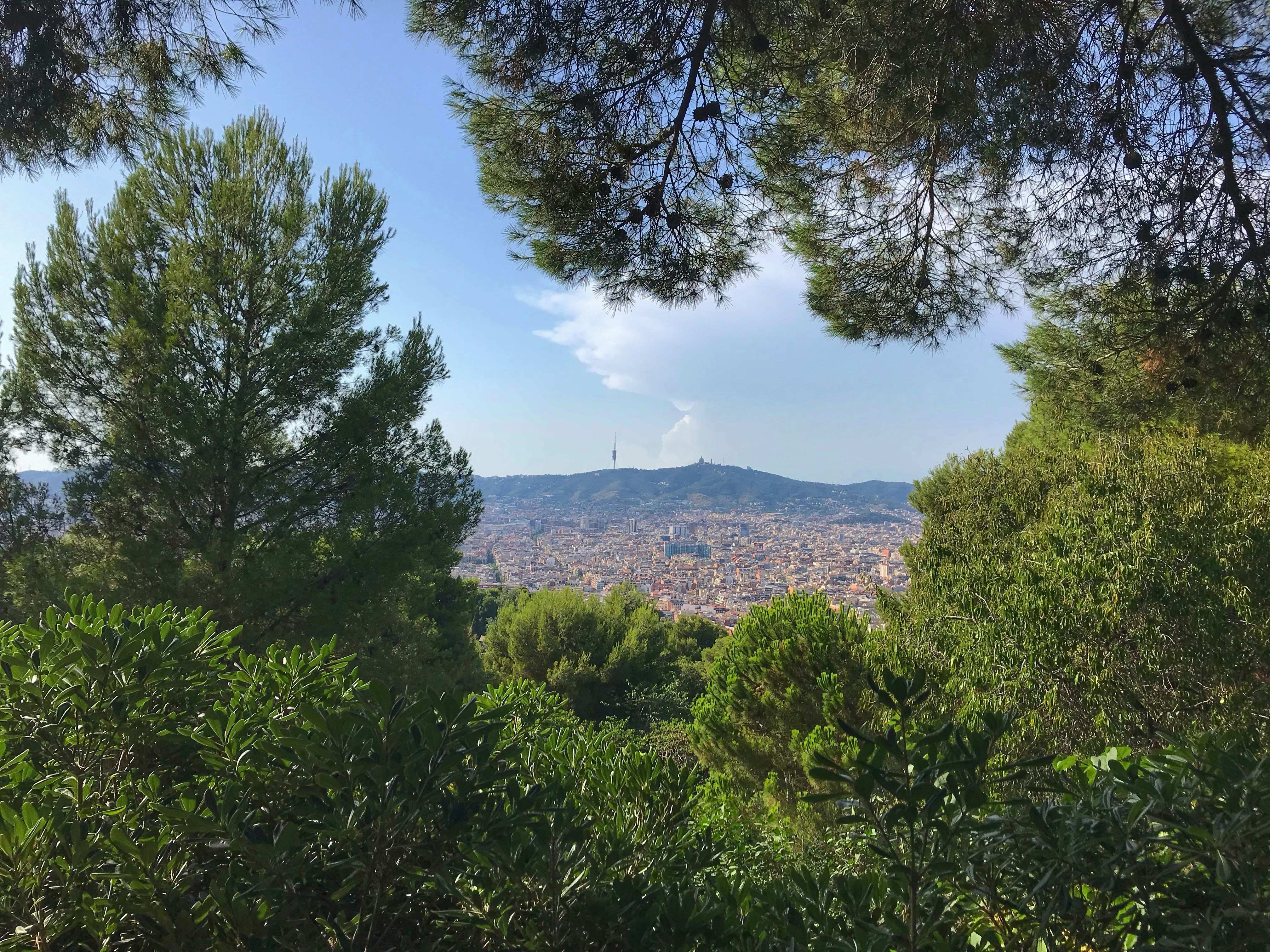Enjoy Barcelona from the height in Montjuïc