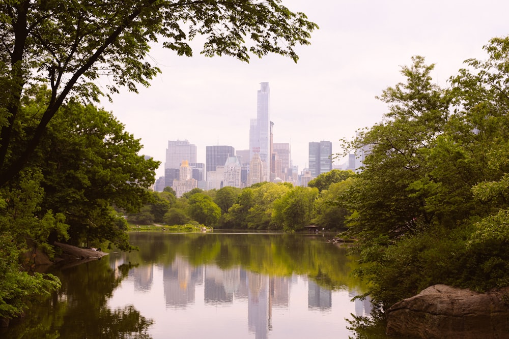 green trees near body of water during daytime