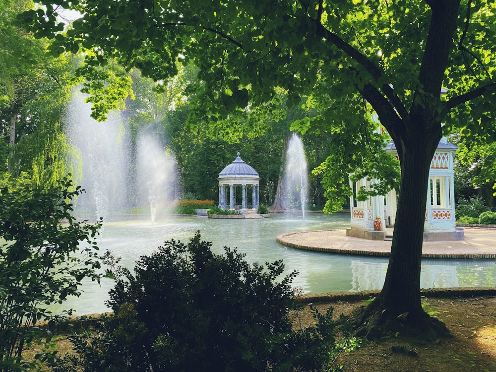 water fountain in the middle of green trees