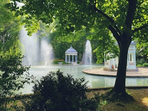 water fountain in the middle of green trees