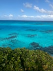 green and brown rocks beside blue sea under blue sky during daytime