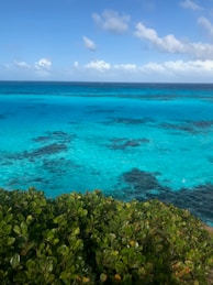 green and brown rocks beside blue sea under blue sky during daytime