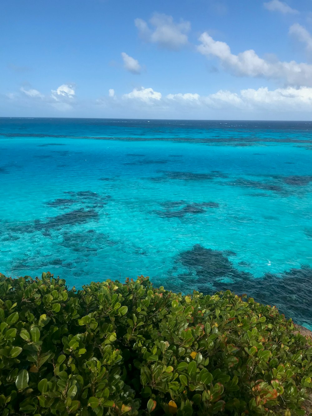 rochers verts et bruns au bord de la mer bleue sous le ciel bleu pendant la journée