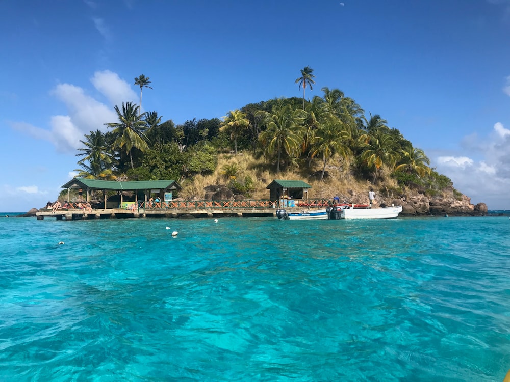 white and blue boat on blue sea water near green palm trees during daytime