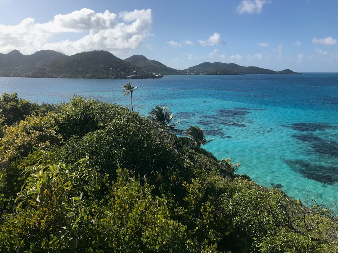 Kayak to Cayo Cangrejo