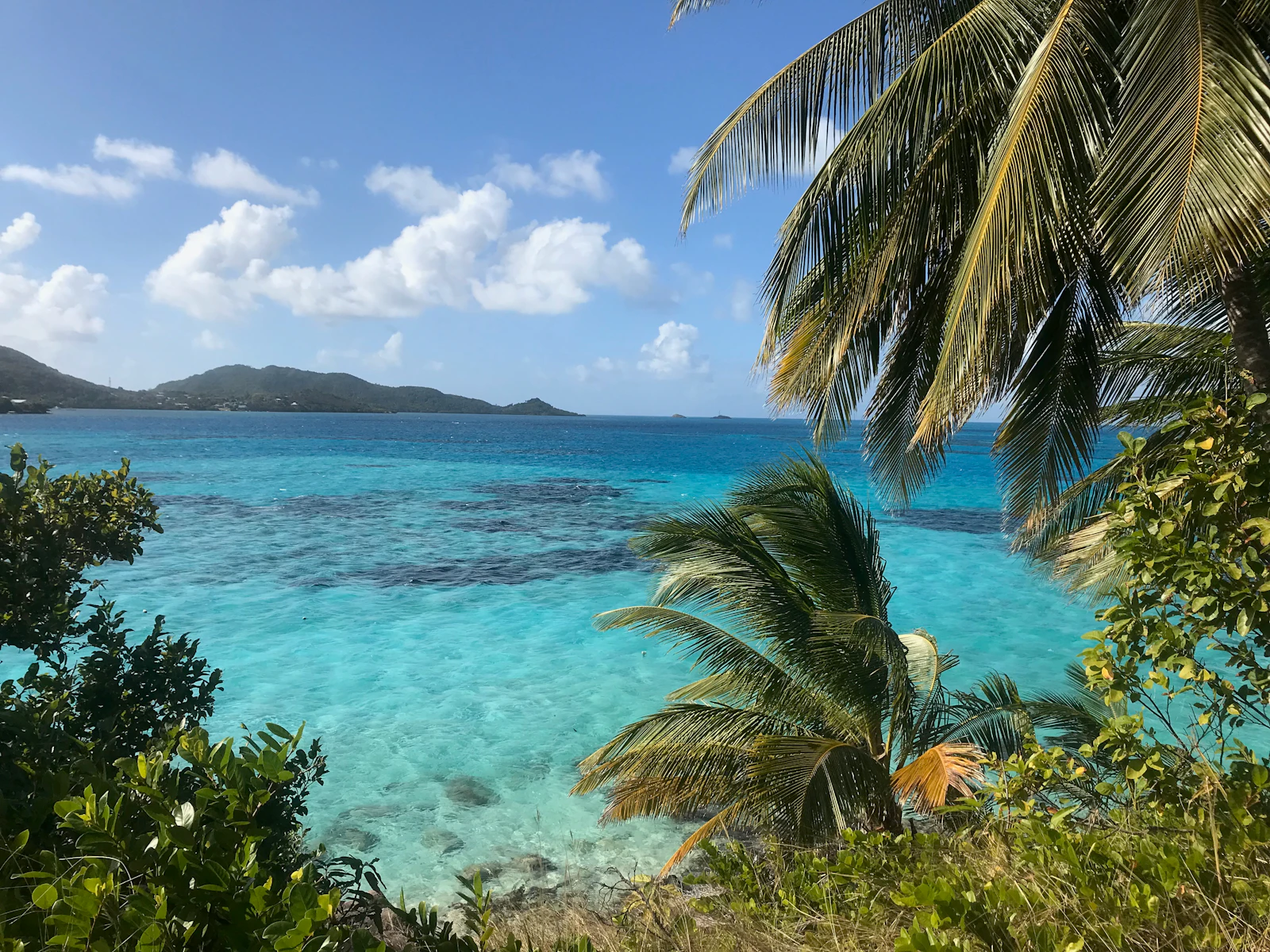 Carlisle Bay: Contemporary Calm on Antigua's South Coast