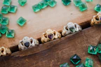 A collection of shimmering rings displayed on a rustic wooden table.