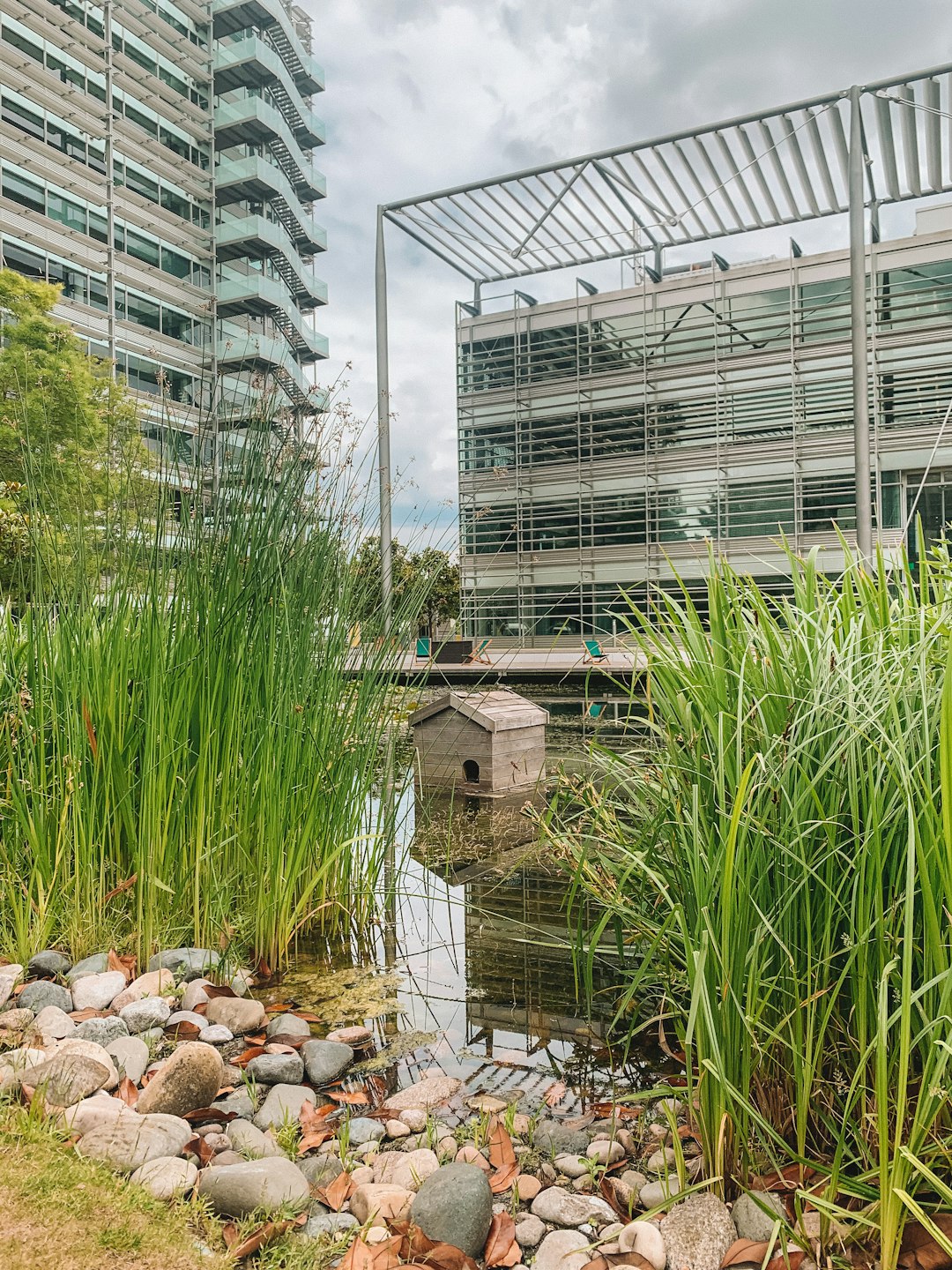 green plants near gray concrete building during daytime