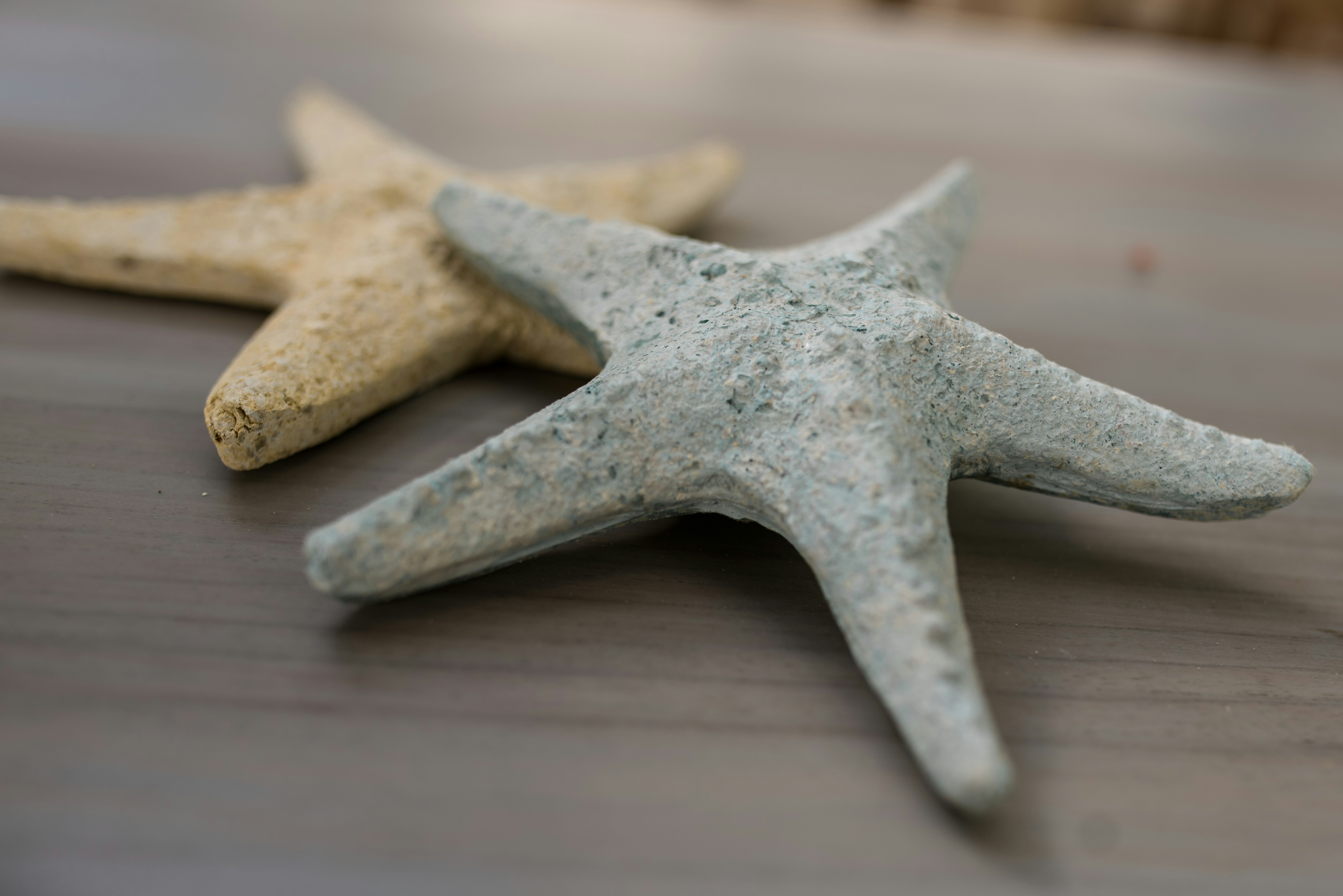 Photo by victoriabcphotographer