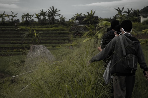 A group of people wearing jackets and masks walk through a lush, green field with a thatched structure in the foreground and terraced vegetation in the background. Banana trees are visible along the horizon, and the sky is overcast.