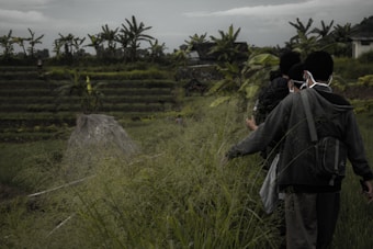 A group of people wearing jackets and masks walk through a lush, green field with a thatched structure in the foreground and terraced vegetation in the background. Banana trees are visible along the horizon, and the sky is overcast.