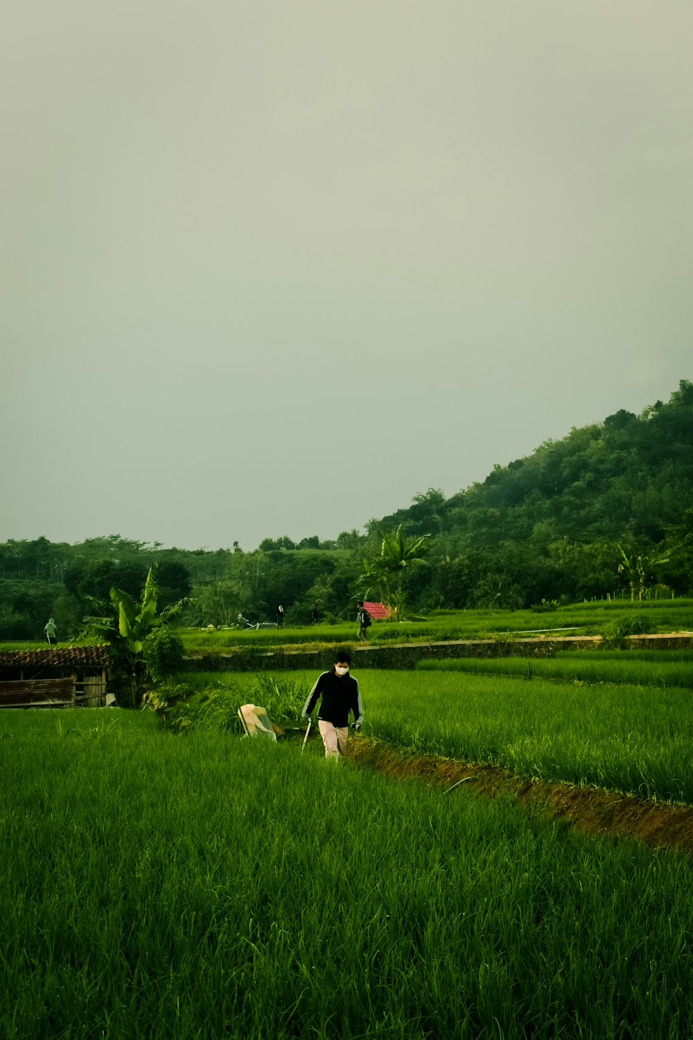 man and woman walking on green grass field during daytime