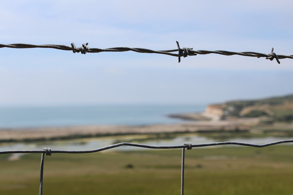 gray barbwire in tilt shift lens