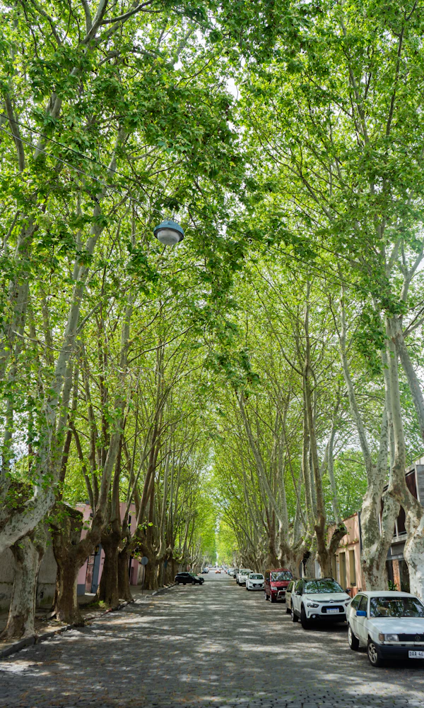Punta del Este Is Overrated — Go to Colonia Instead