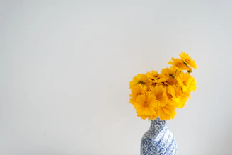 yellow flower in clear glass vase