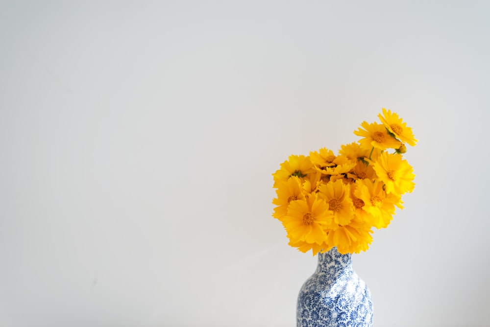 yellow flower in clear glass vase