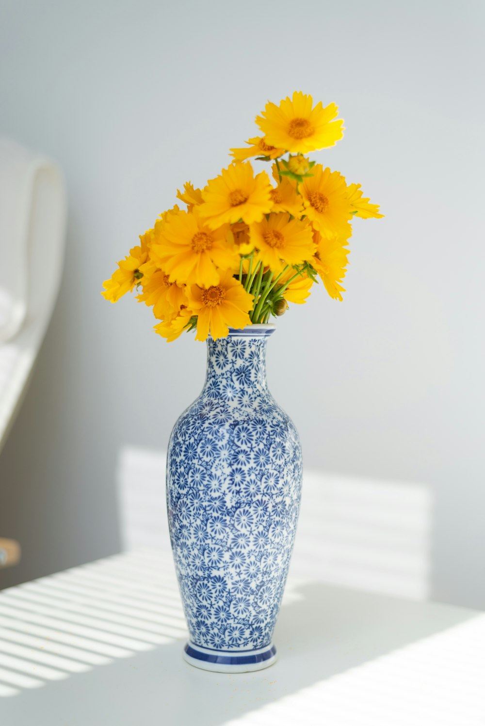 yellow flowers in white ceramic vase