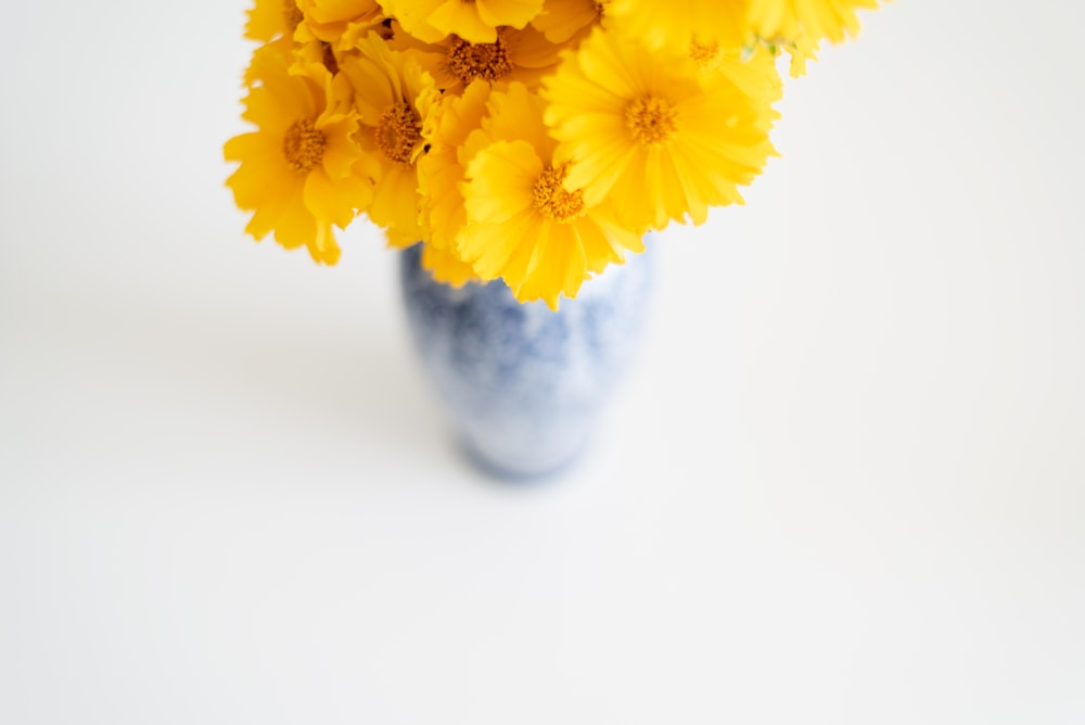 yellow flowers in gray ceramic vase