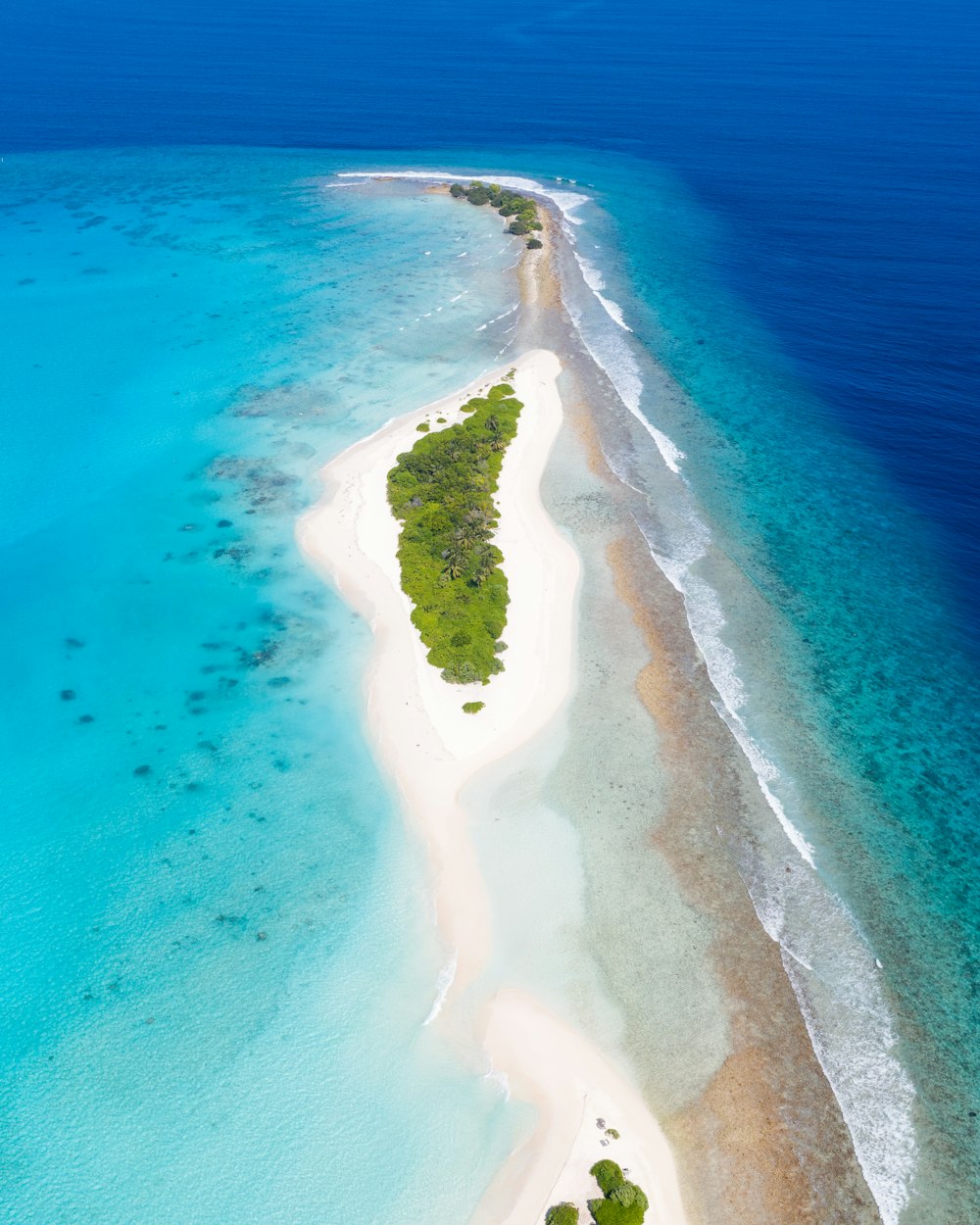 aerial view of green trees on brown sand beach during daytime