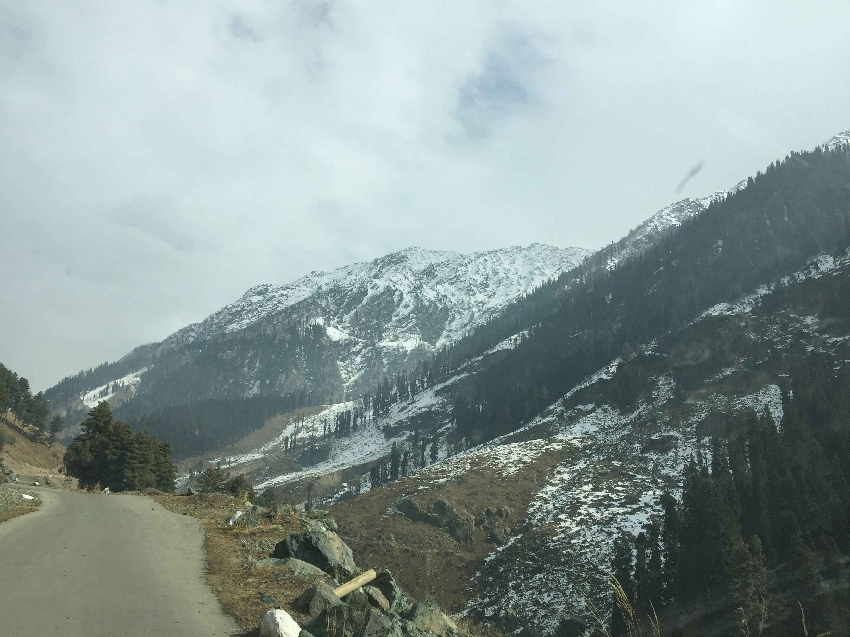 green trees on mountain under white clouds during daytime