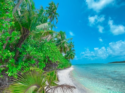 A pristine beach resort with turquoise waters and colorful umbrellas under a bright sky.