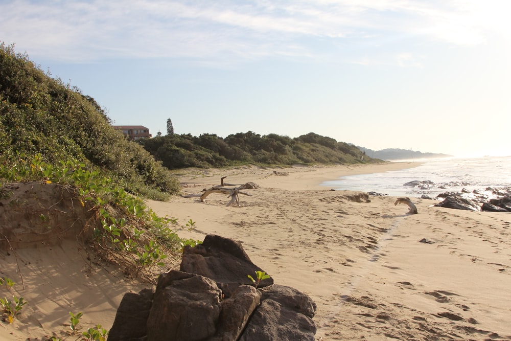 person walking on beach during daytime