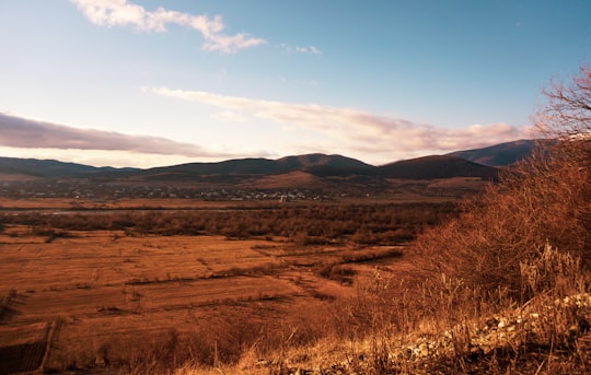 brown grass field under blue sky during daytime in Tianeti Georgia