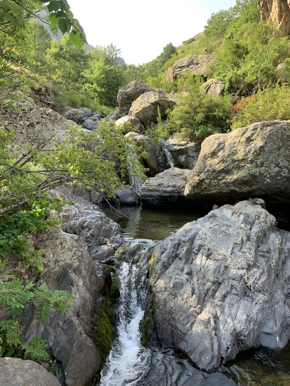 gray rocky river between green trees during daytime