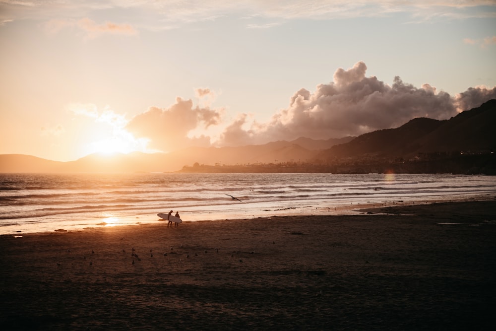 people on beach during sunset