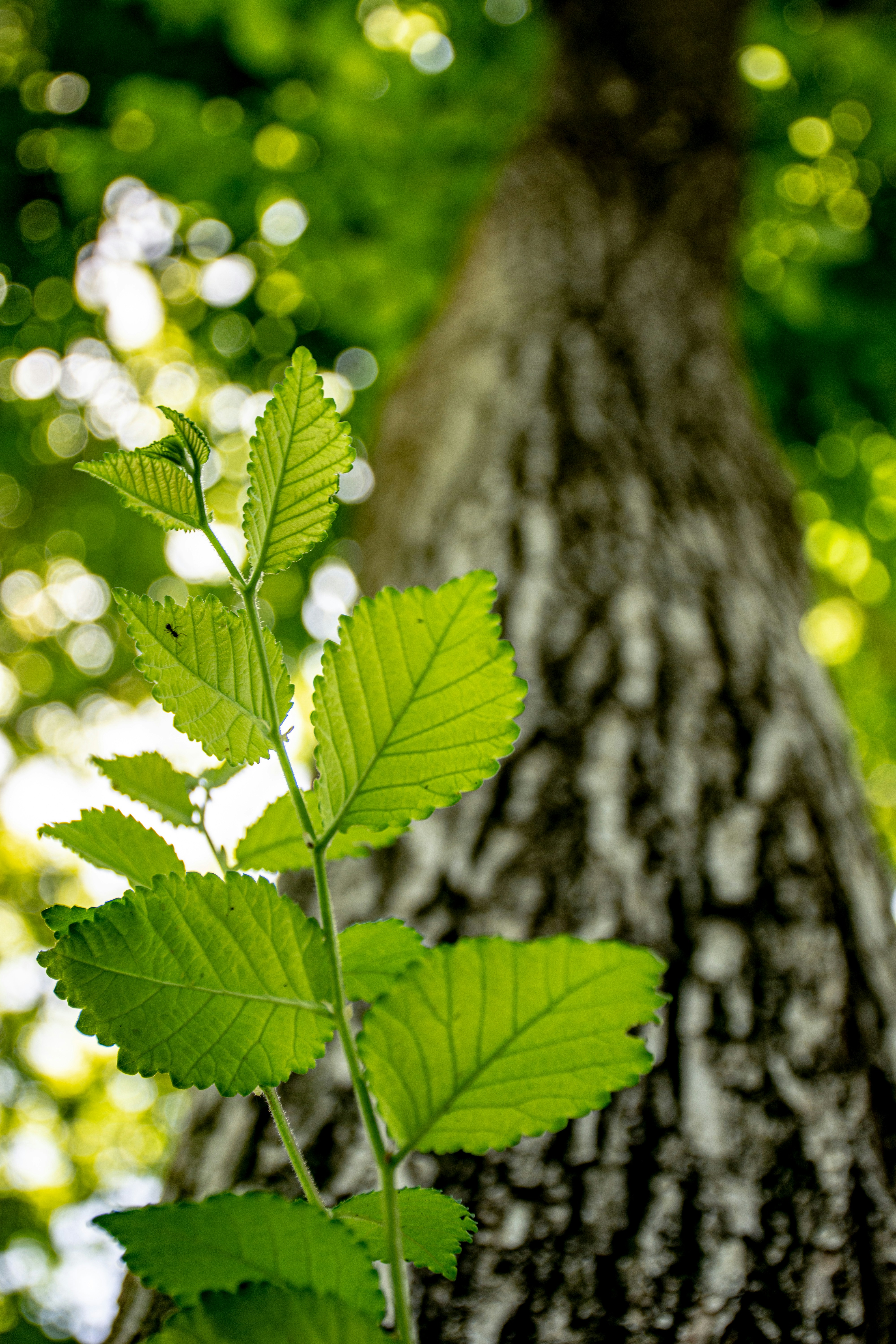 Photo by hoseinchaharbaghi