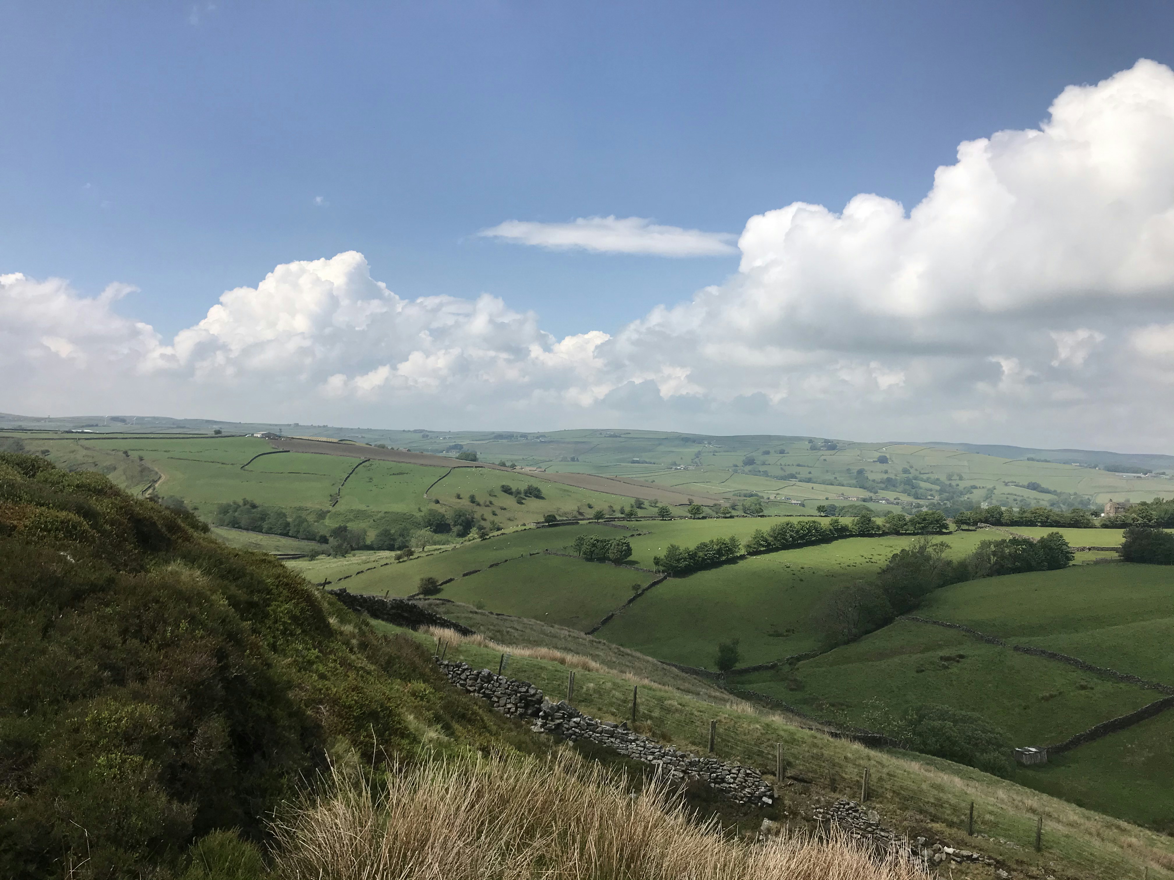 Photo by maddox_howe_32