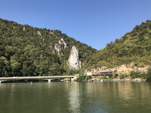 green trees near body of water during daytime
