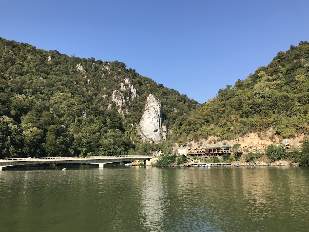 green trees near body of water during daytime