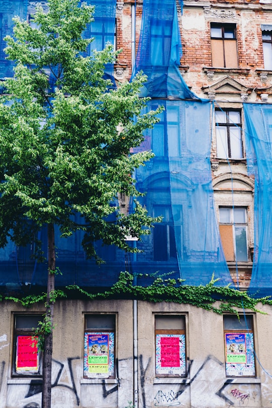 green tree in front of blue concrete building in Leipzig Germany