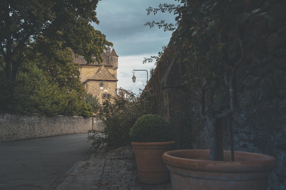 a street with potted plants on the side of it