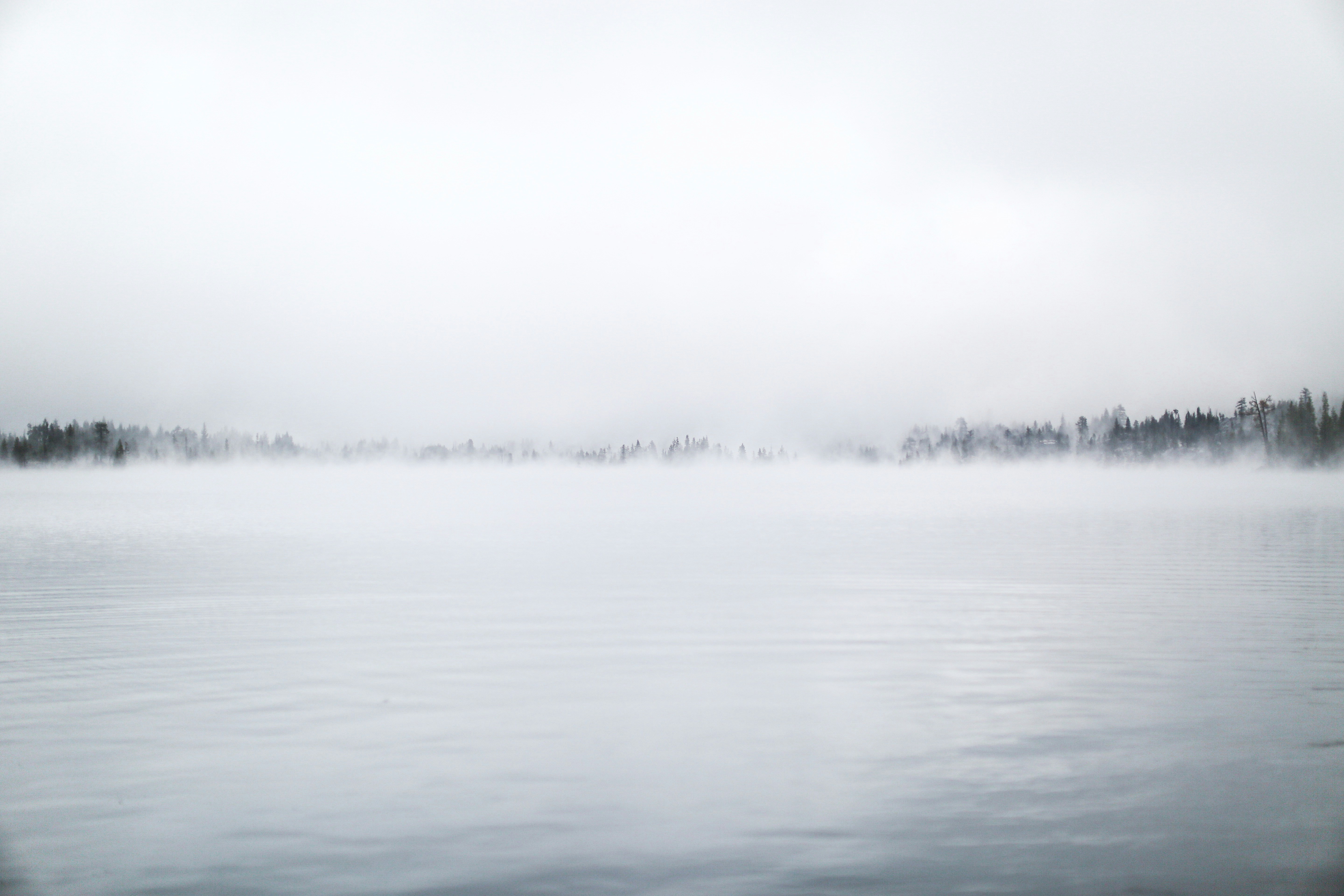 Photo by giorgiotrovato