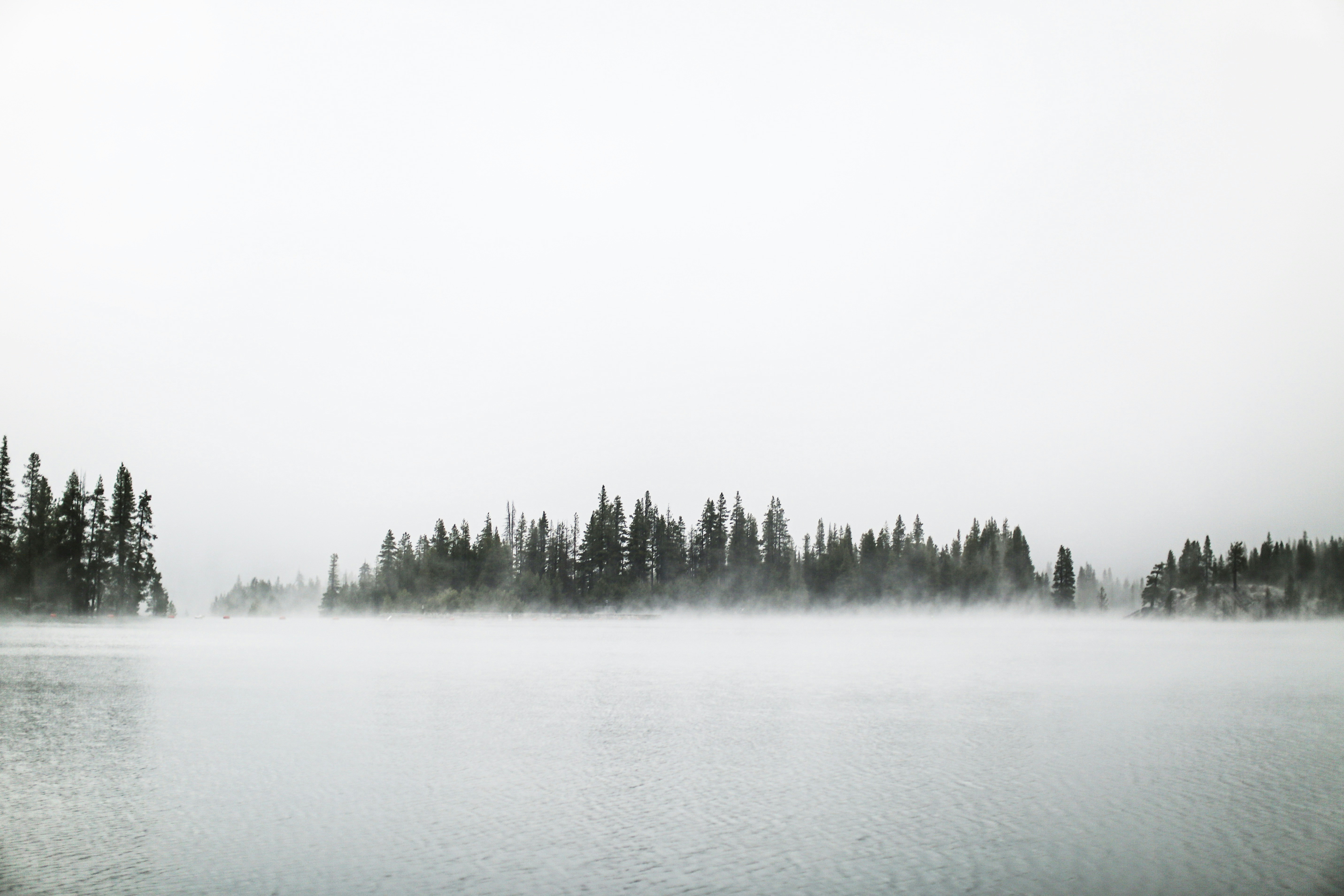 Photo by giorgiotrovato